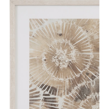 Fossil Nautilus Framed Print Set of 2