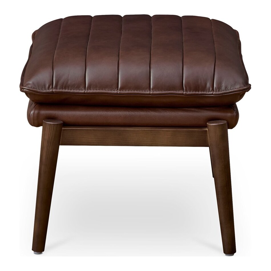brown  b  