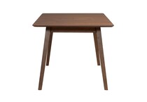 brown  t  
