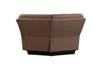 brown sd w  