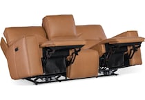 brown ss phz   