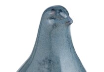 cvdzepb  