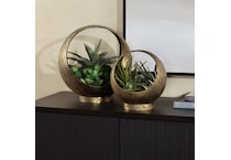 cvdzep  