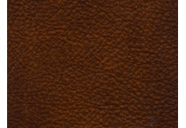 dark brown ec   