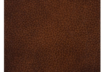 dark brown ss    