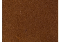 light brown cc    
