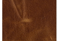 medium brown ss    