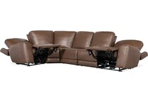 medium brown ss pc   