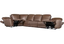 medium brown ss pc   