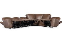 medium brown ss pc   