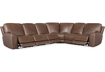 medium brown ss pc   