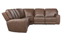 medium brown ss pc   